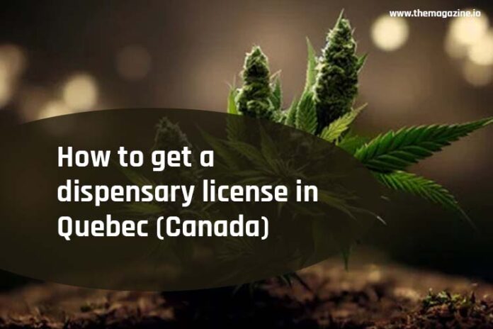 How to get a dispensary license in Quebec (Canada)