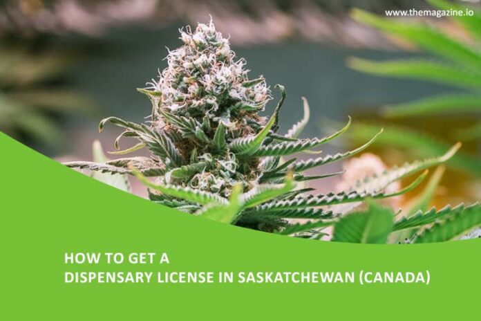 How to get a dispensary license in Saskatchewan (Canada)