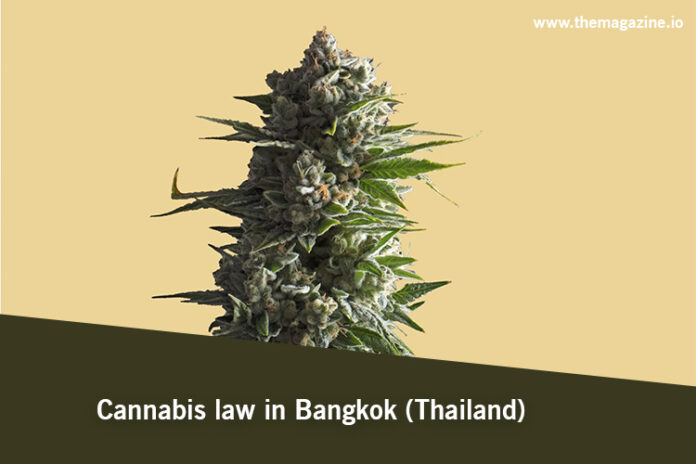 Cannabis law in Bangkok (Thailand)
