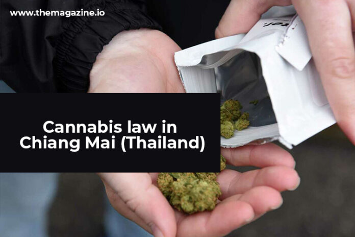 Cannabis law in Chiang Mai (Thailand)