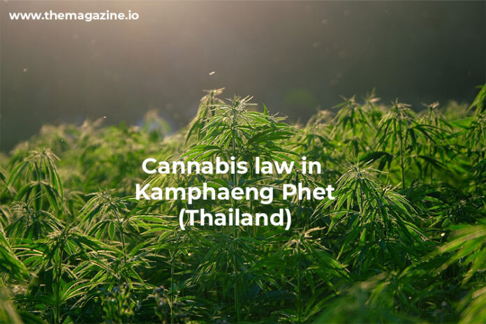 Cannabis law in Kamphaeng Phet (Thailand)