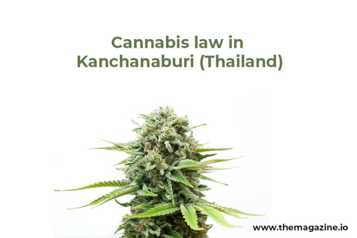 Cannabis law in Kanchanaburi (Thailand)