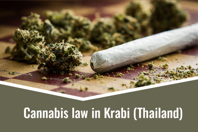 Cannabis law in Krabi (Thailand)