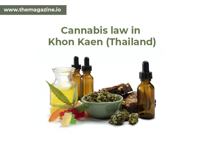 Cannabis law in Khon Kaen (Thailand)