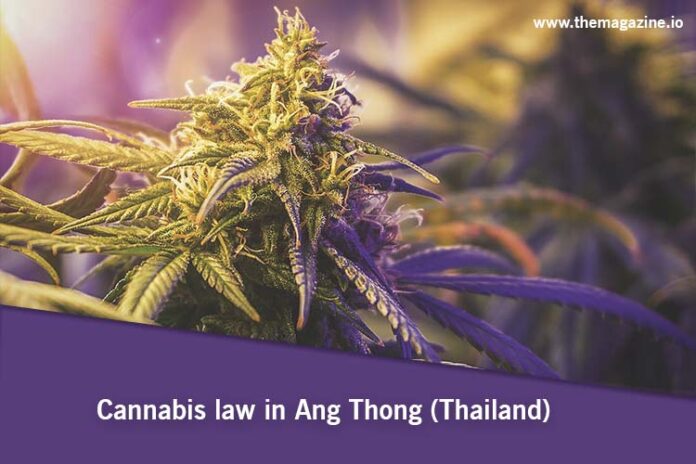 Cannabis law in Ang Thong (Thailand)