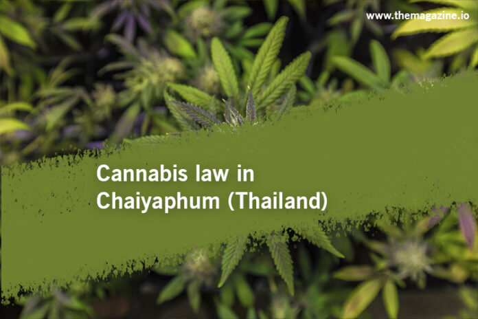 Cannabis law in Chaiyaphum (Thailand)
