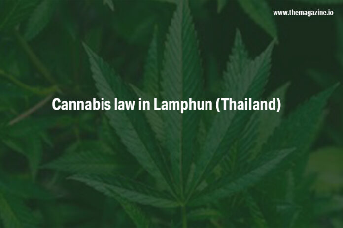 Cannabis law in Lamphun (Thailand)