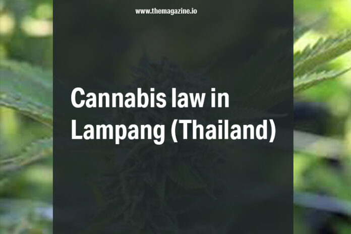 Cannabis law in Lampang (Thailand)