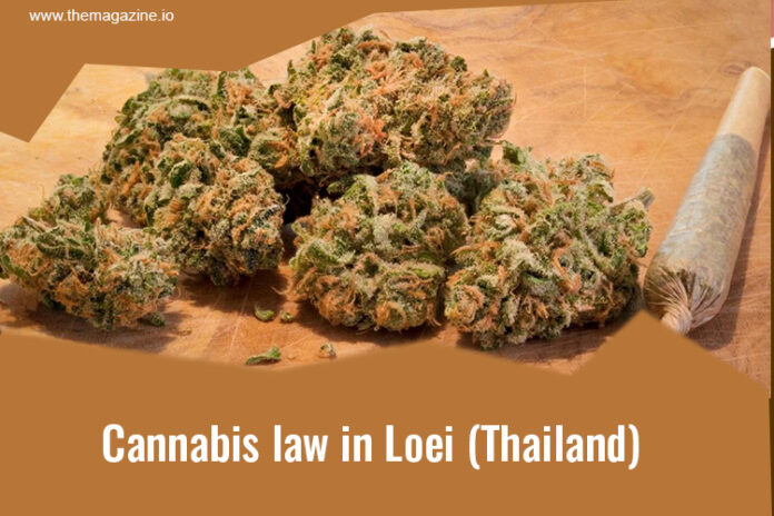 Cannabis law in Loei (Thailand)