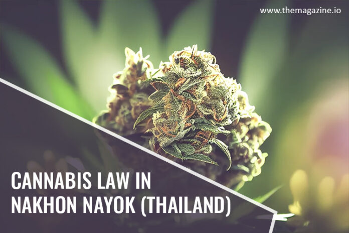 Cannabis law in Nakhon Nayok (Thailand)