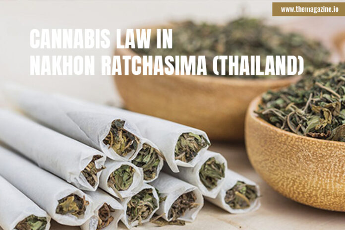 Cannabis law in Nakhon Ratchasima (Thailand)