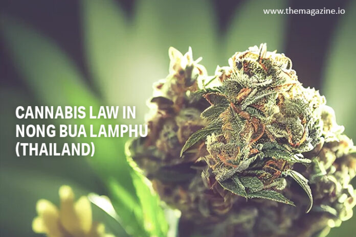 Cannabis law in Nong Bua Lamphu (Thailand)