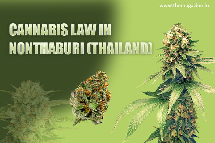 Cannabis law in Nonthaburi (Thailand)