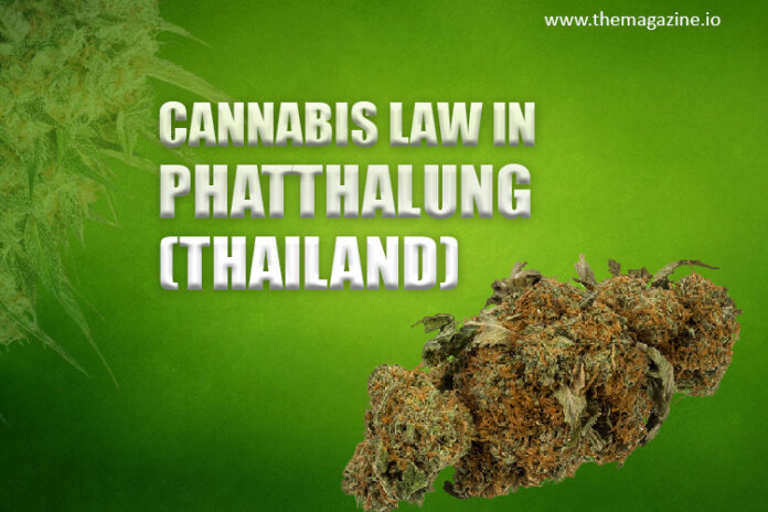 Cannabis law in Phatthalung (Thailand)