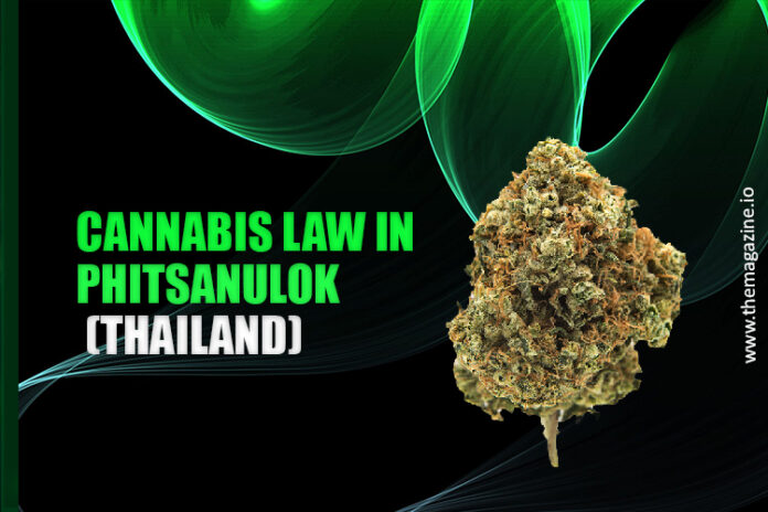Cannabis law in Phitsanulok (Thailand)