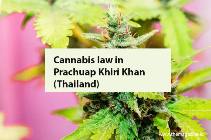 Cannabis law in Prachuap Khiri Khan (Thailand)