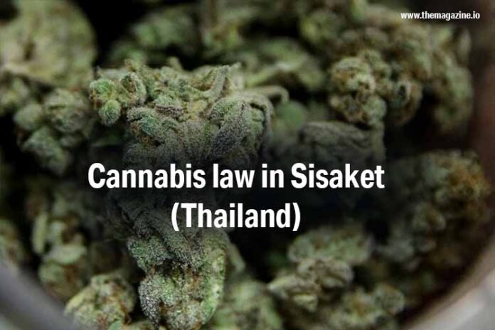 Cannabis law in Sisaket (Thailand)