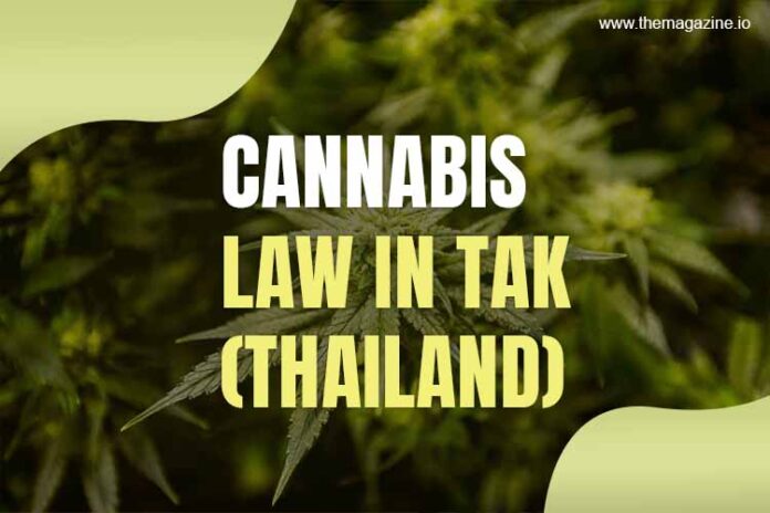 Cannabis law in Tak (Thailand)