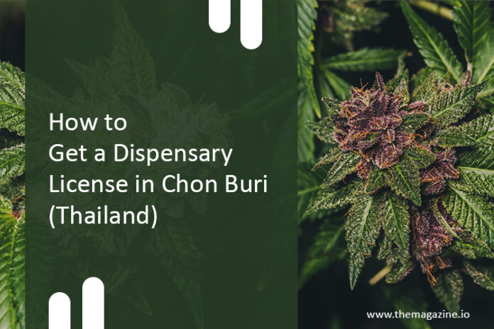 How to get a dispensary license in Chon Buri (Thailand)