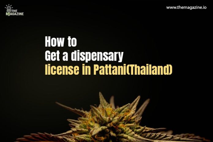 How to get a dispensary license in Pattani (Thailand)