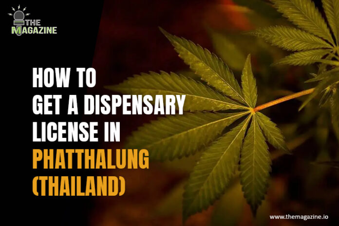 How to get a dispensary license in Phatthalung (Thailand)